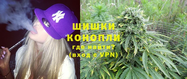 гидропоника Бородино