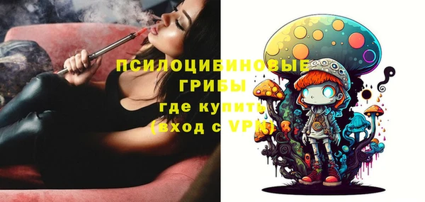 гидропоника Бородино